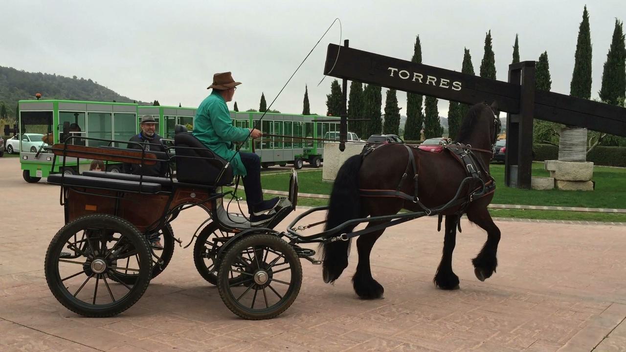 Hotel Rural Cal Ruget Vilobi Del Penedes المظهر الخارجي الصورة