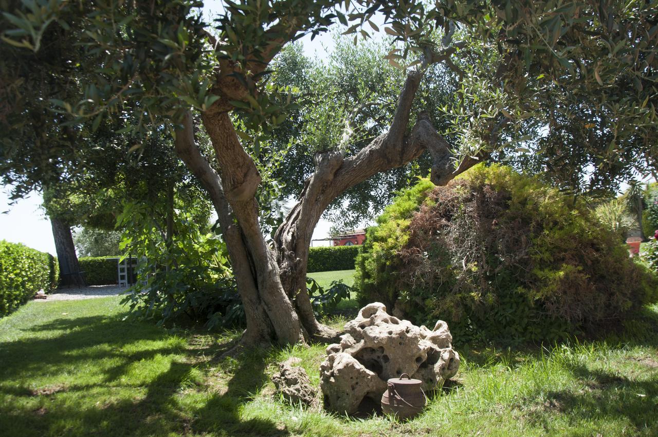 Hotel Rural Cal Ruget Vilobi Del Penedes المظهر الخارجي الصورة