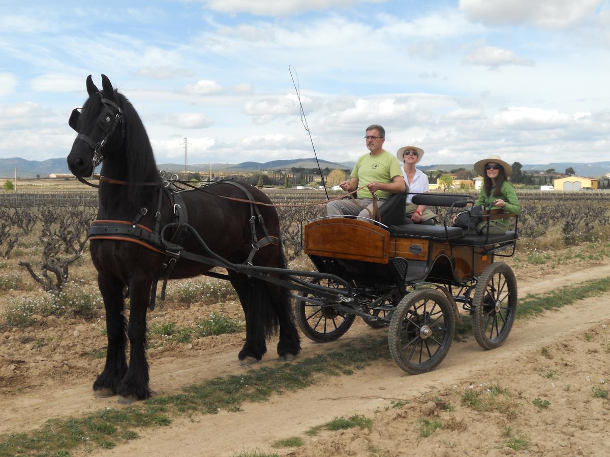 Hotel Rural Cal Ruget Vilobi Del Penedes المظهر الخارجي الصورة